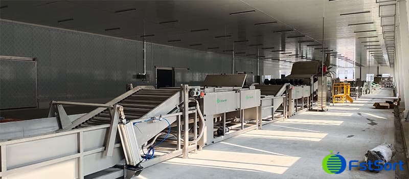 images/1706082927877sweet potato processing machine.jpg